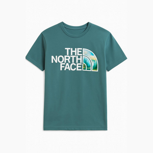 The North Face Men's Blue Logo Tee